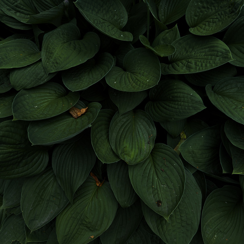 Photo #14106208