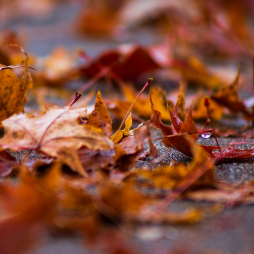 Photo #14106332