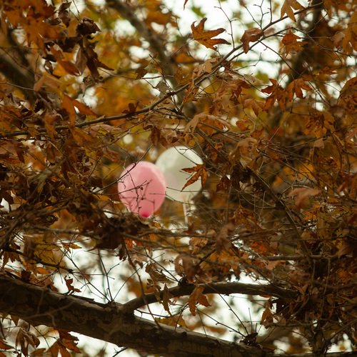 Photo #14106376