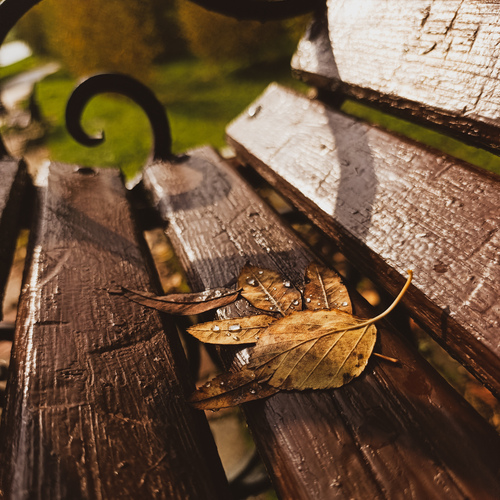 Photo #14106391