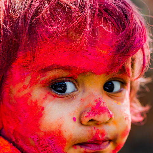 Indian Festival picture