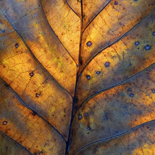 Photo #14106448