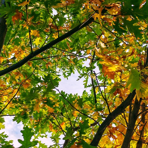 Photo #14106488