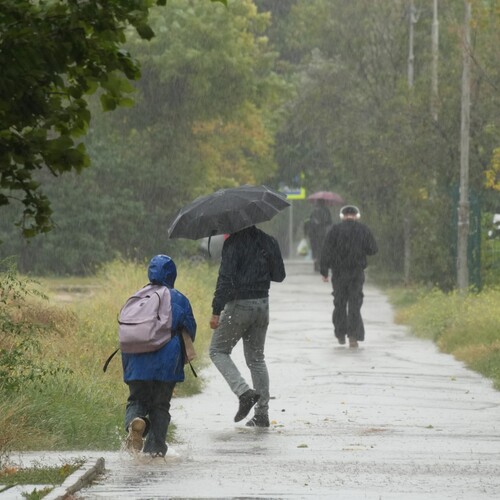 Photo #14106494