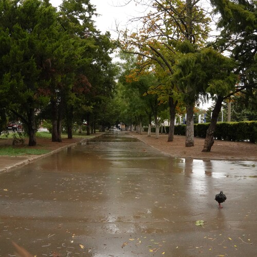Photo #14106495