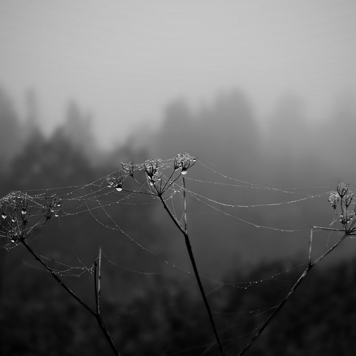 Photo #14106518