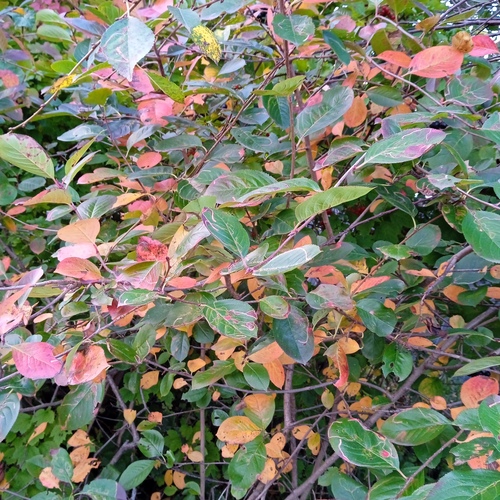 Photo #14106534