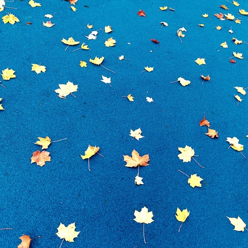 Photo #14106540