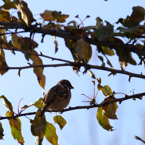 Photo #14106571