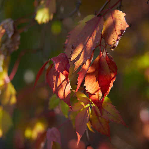Photo #14106587