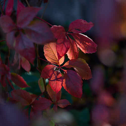 Photo #14106588