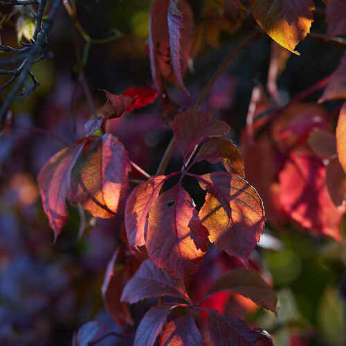 Photo #14106589