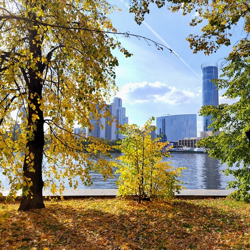 Photo #14106607