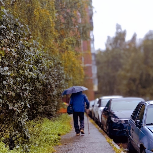 Photo #14106678