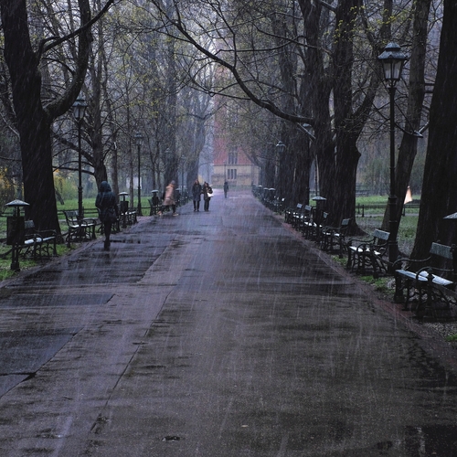 Photo #14106693