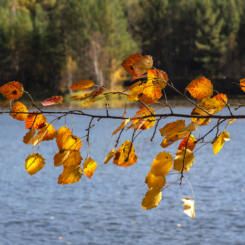 Photo #14106698