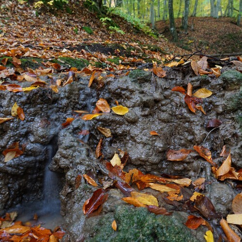 Photo #14106715