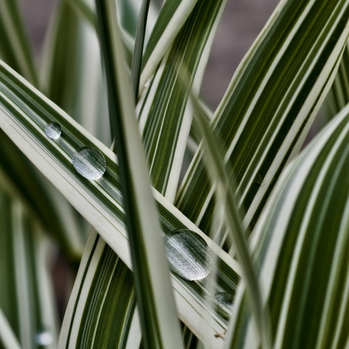 Photo #14106746