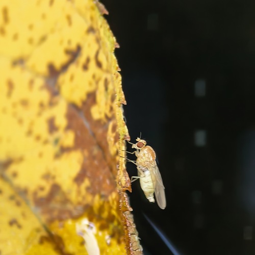 Photo #14106761