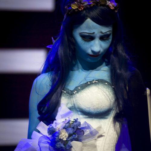 Photo #14106779