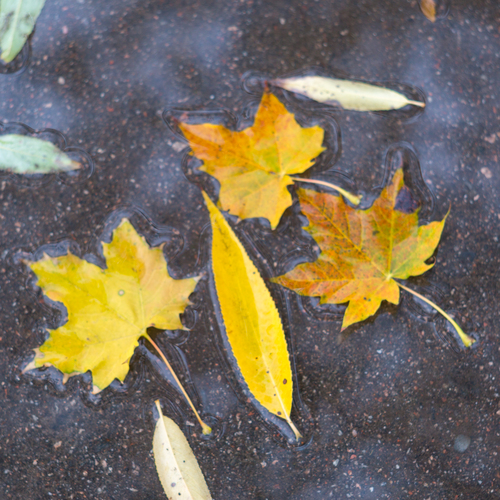 Photo #14106787
