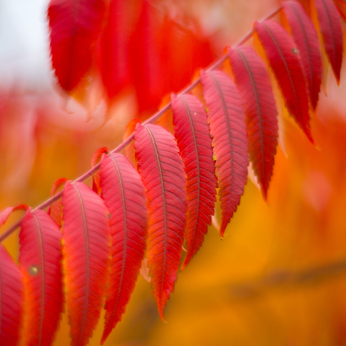 Photo #14106789