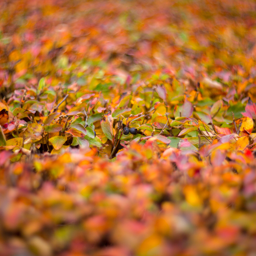 Photo #14106791