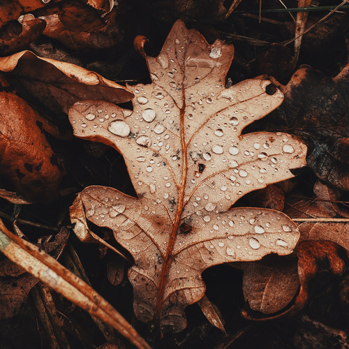 Photo #14106793