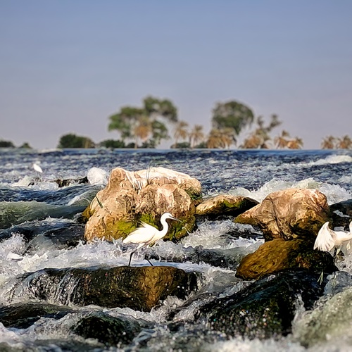 Фотография #14106826
