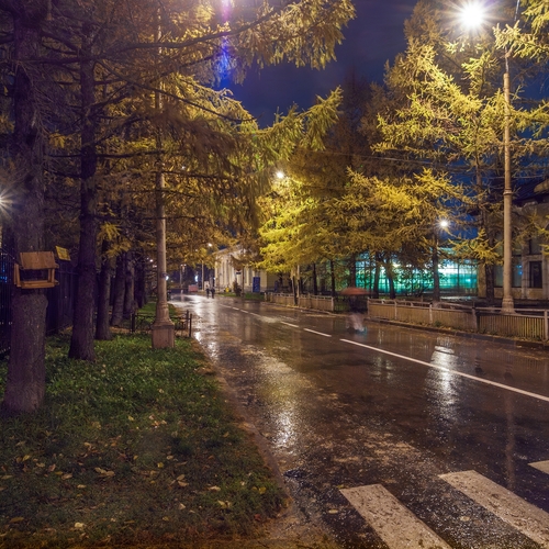 Photo #14106897