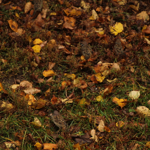 Photo #14107002