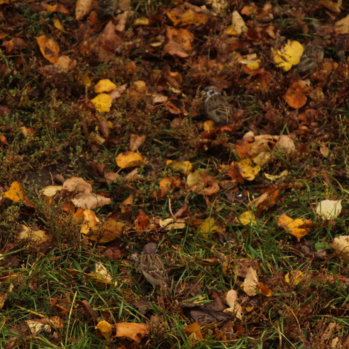 Photo #14107003