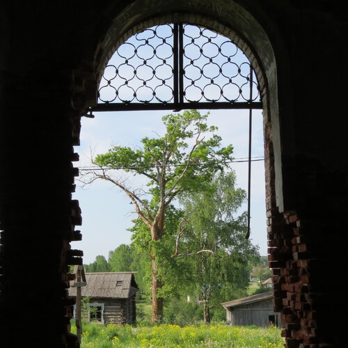 Photo #14107004