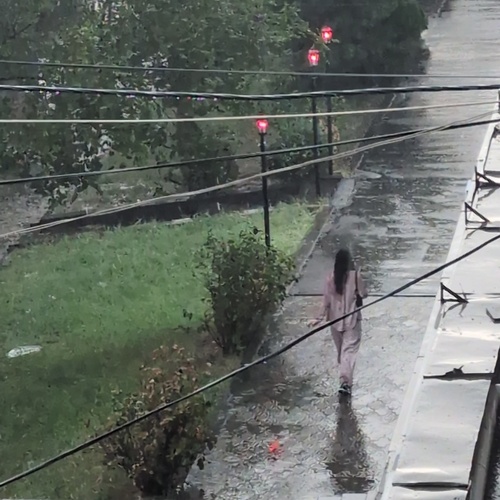 Photo #14107237