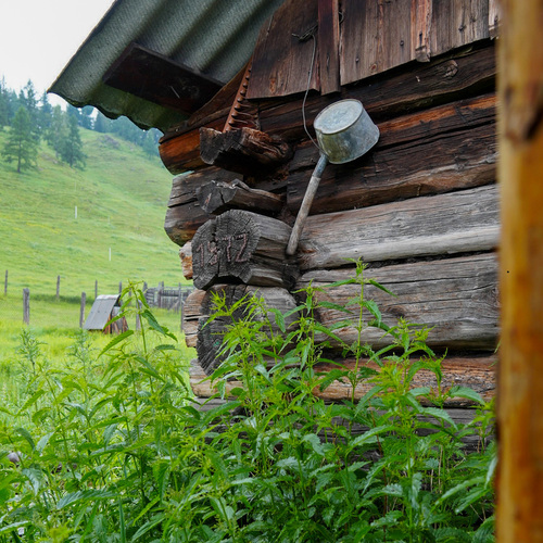 Photo #14107314
