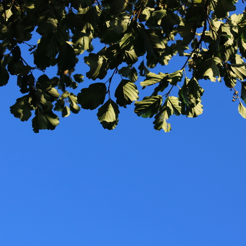 Photo #14107349