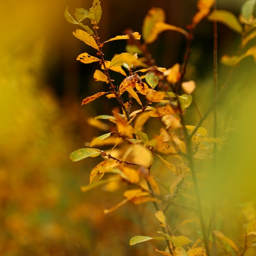 Photo #14107454