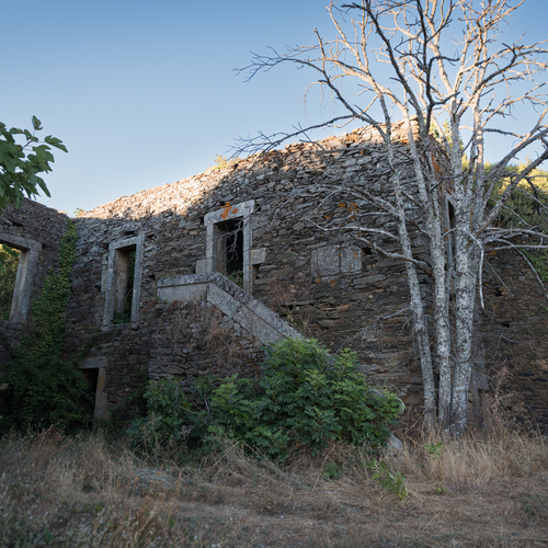 Photo #14107460