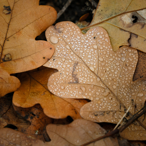 Photo #14107504