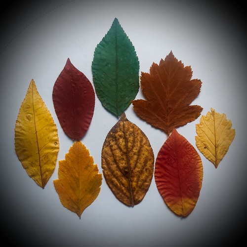 Photo #14107586