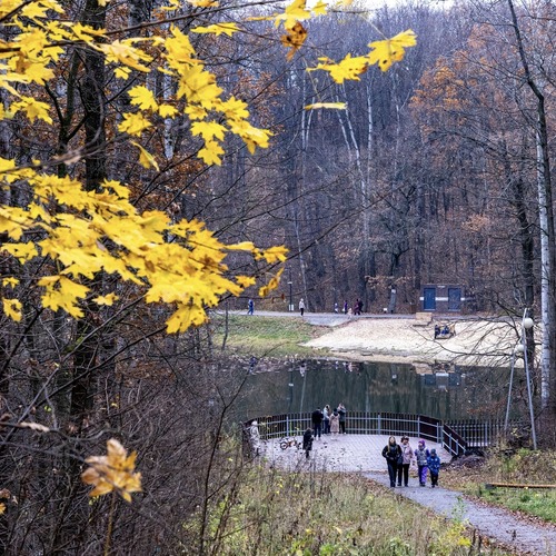 Photo #14107638