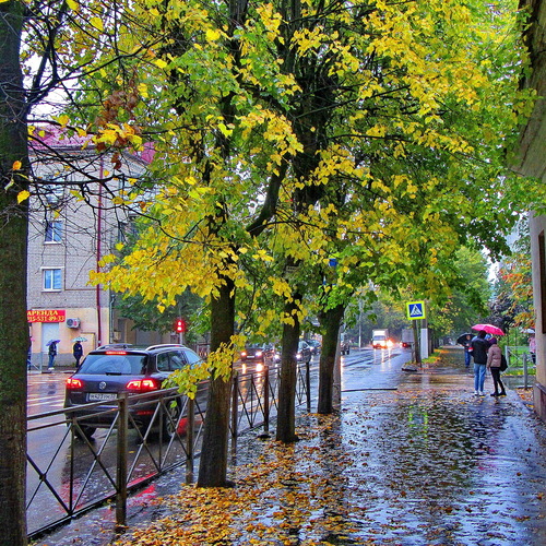Photo #14107668