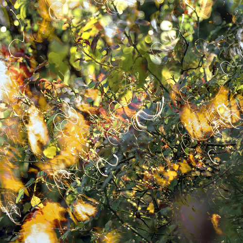 Photo #14107713