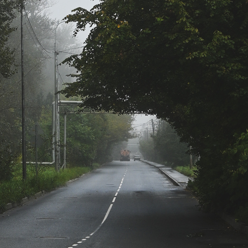 Photo #14107760