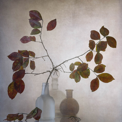 Photo #14107774