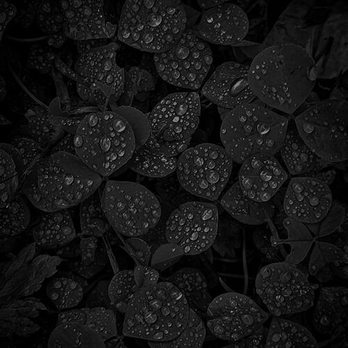 Photo #14107776