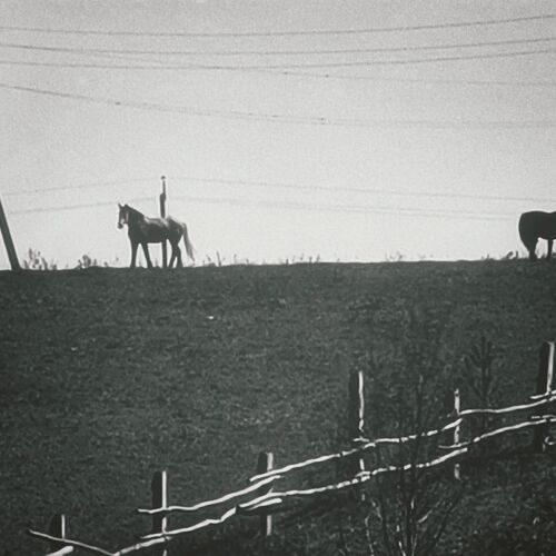 Photo #14107784