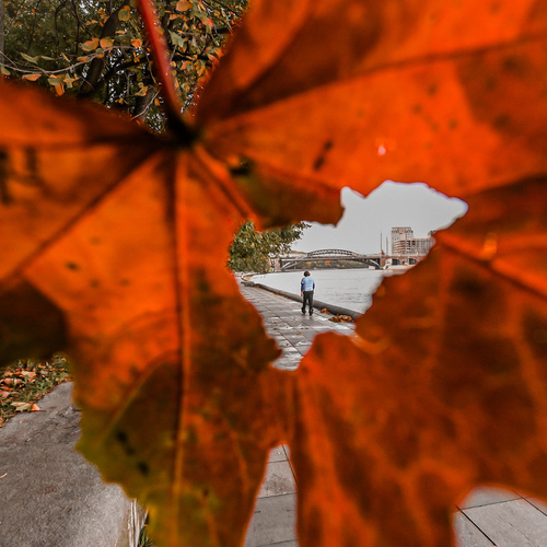 Фотография #14107793