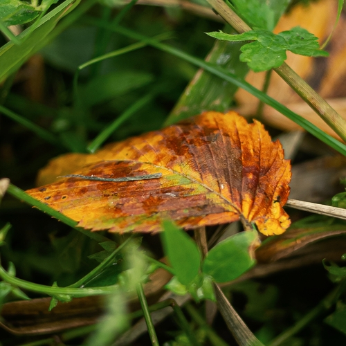 Photo #14107869