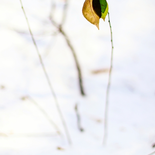 Photo #14107913